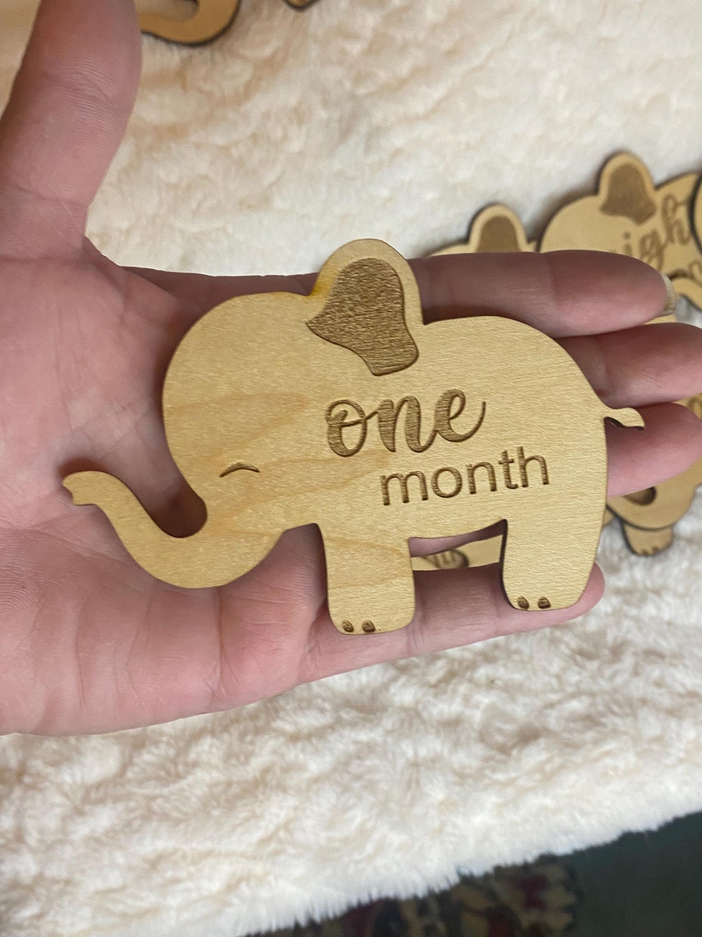 Elephant Baby Milestone Picture Prop - Monthly Milestone Marker - Themed Photo Prop - 1st Year Baby Photography Set