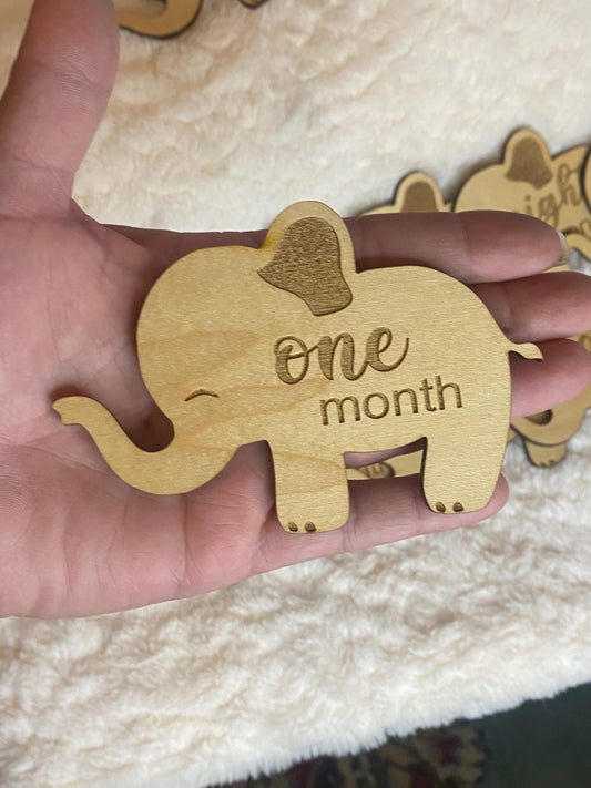 Elephant Baby Milestone Picture Prop - Monthly Milestone Marker -  Themed Photo Prop - 1st Year Baby Photography Set