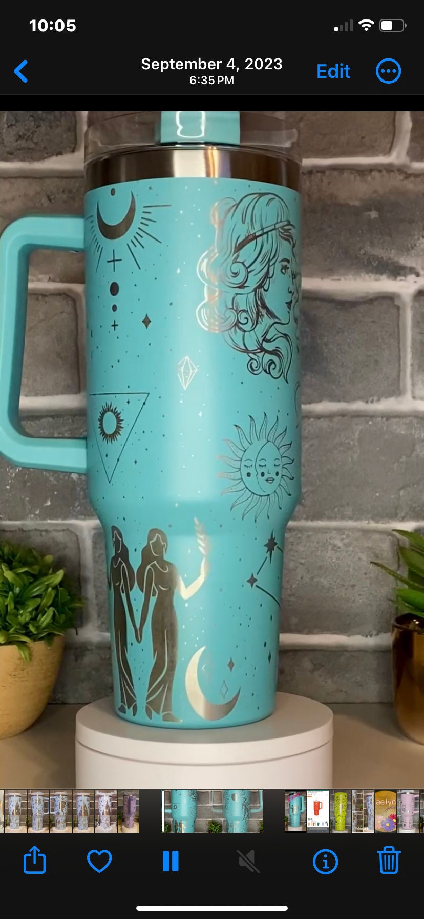 Gemini Tumbler
