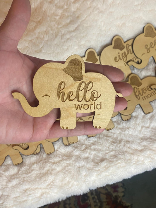Elephant Baby Milestone Picture Prop - Monthly Milestone Marker -  Themed Photo Prop - 1st Year Baby Photography Set