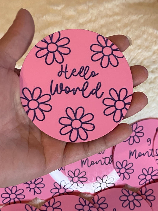 Daisy Acrylic Baby Milestone Discs – Floral Baby Monthly Milestone Markers – Newborn Photo Prop – Baby Shower Gift