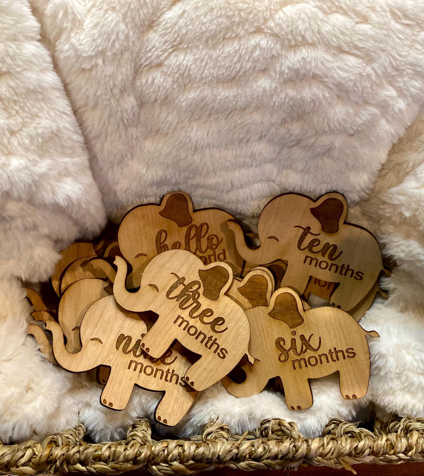 Elephant Baby Milestone Picture Prop - Monthly Milestone Marker -  Themed Photo Prop - 1st Year Baby Photography Set